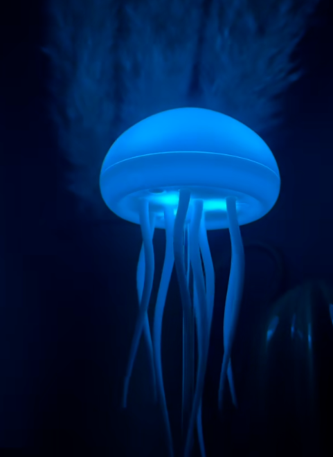 Jellyfish Night Lamp
